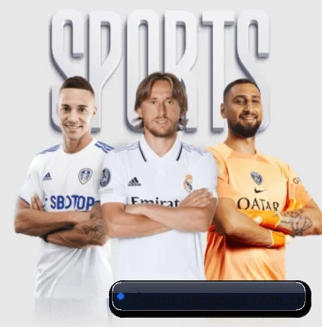 sigma-ngsports.com.cn的方向 - 长期内容价值积累